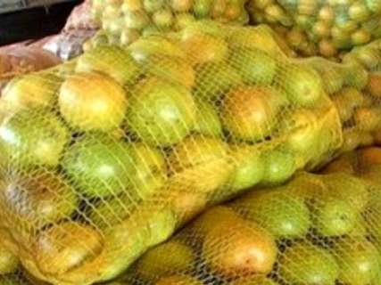 Indústrias de suco de laranja projetam investimentos em Mato Grosso do Sul