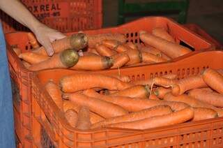 A cenoura teve queda de 21,42% no preço em junho. (Foto: Arquivo/ Campo Grande News)