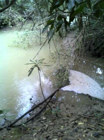 Prefeito &eacute; dono de fazenda multada em R$ 520 mil por degrada&ccedil;&atilde;o ambiental