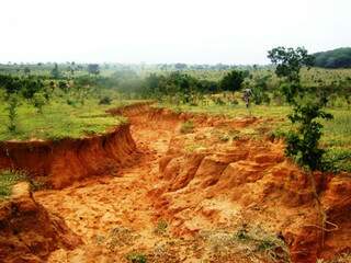 Erosão atinge 1,5 hectares de propriedade. (Foto: Divulgação)
