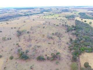 Imagens de satélite ajudam PMA a identificar áreas de desmatamento ilegal no Estado (Foto: Divulgação / PMA)