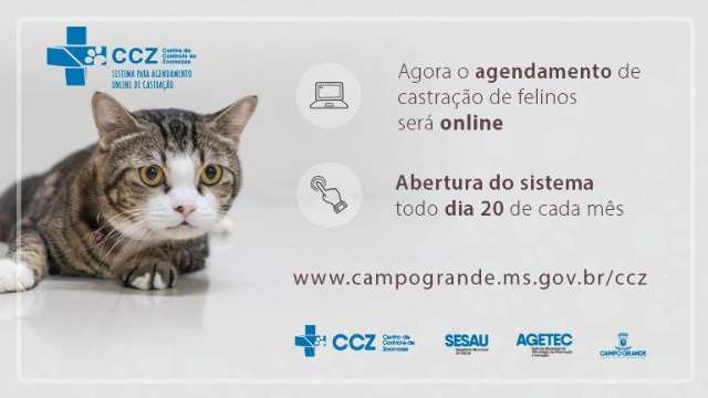 Para acabar com fila, CCZ passar&aacute; a agendar castra&ccedil;&otilde;es pela internet