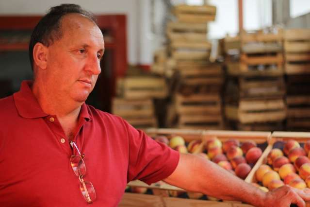 Demanda aumenta e pre&ccedil;os de frutas natalinas deixam ceia mais cara 