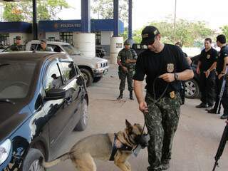 Policiais contam com a ajuda de cães farejadores para auxiliar na localização de drogas. 