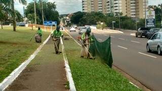 Serviço de poda da grama no canteiro da avenida Afonso Pena (Foto: Geisy Garnes)