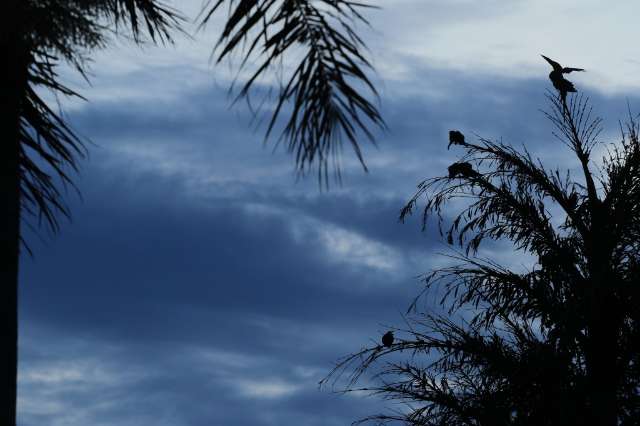  Domingo ser&aacute; de tempo nublado com pancadas de chuva e trovoadas em MS 