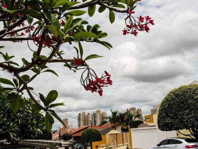 Na Quarta de Cinzas, Inmet coloca 25 cidades em alerta para chuva forte