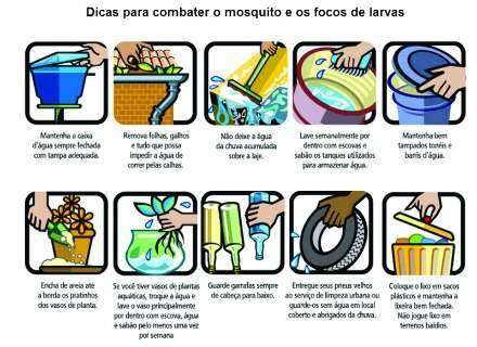 Mosquito transmissor da dengue se adaptou para continuar reprodução