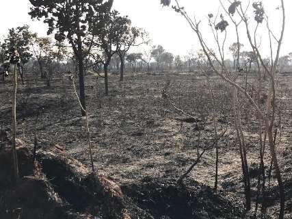 Fogo no anel viário queimou 10 hectares após cinco horas de combate