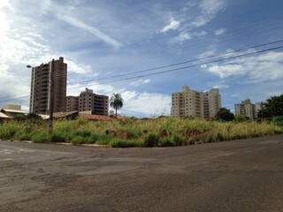 O terreno tem causado transtornos aos moradores da região central de Campo Grande. (Foto:Direto das Ruas)