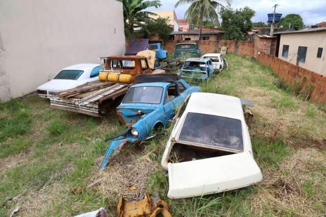 Moradores ignoram epidemia e criam focos do mosquito da dengue e zika