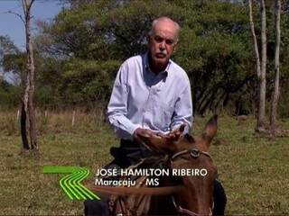 Da última visita ao Estado, reportagem foi feita em Maracaju, na fazenda de Almir Sater. (Foto: Reprodução/Globo Rural)
