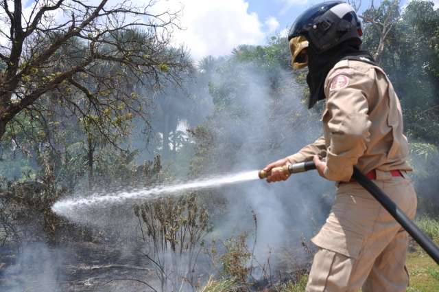 Sozinho e com um fac&atilde;o, borracheiro combate fogo para salvar animais