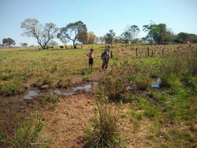 Idoso &eacute; multado em R$ 5 mil por degradar &aacute;rea protegida no pr&oacute;prio lote