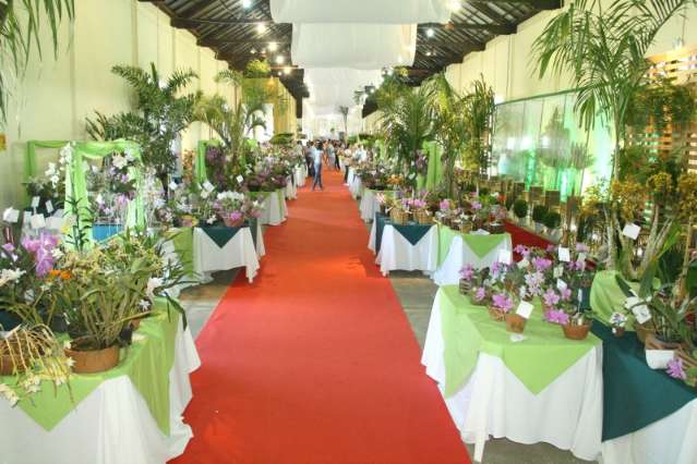 Exposi&ccedil;&atilde;o de Orqu&iacute;deas gratutita no Armaz&eacute;m Cultural termina &agrave;s 17h