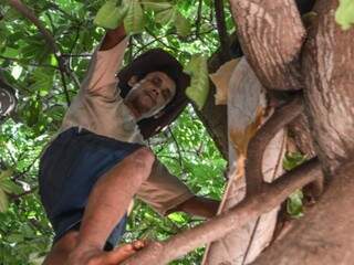 Edson Cassio da Silva subindo na árvore que fez virar sua casa. (Foto: Alana Portela)