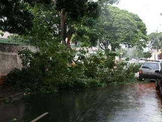 Motorista tem que desviar pelo acostamento para seguir (Foto: Paulo Francis)