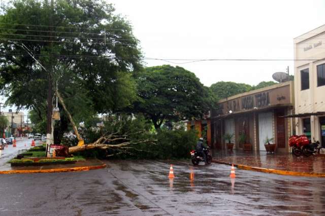 Manh&atilde; de chuva tem &aacute;rvores ca&iacute;das, ruas alagadas e tr&acirc;nsito ca&oacute;tico