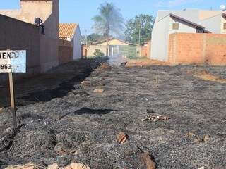 Terreno baldio foi incendiado na manhã desta terça-feira (30). (Foto: Marina Pacheco)