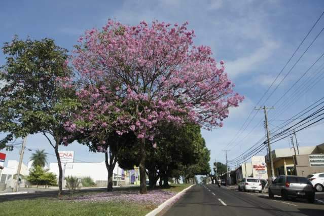 Semana come&ccedil;a com tempo nublado e calor em todo Mato Grosso do Sul