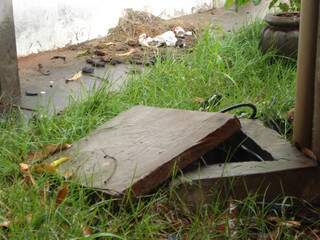 Acúmulo de lixo causa aparecimento de ratos, baratas e moscas (Foto: Ana Gomes)
