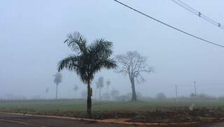 Neblina corre também na região norte de Dourados (Foto: Marciel Arruda/TV RIT)
