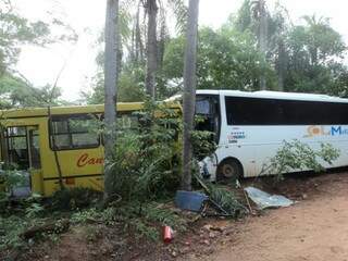 O ônibus de Claudinei colidiu com outro ônibus após atingir motociclista (Foto: Divulgação/Polícia Civil)