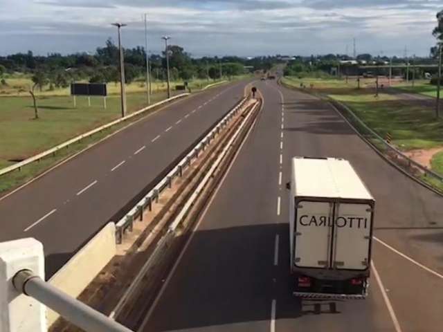 Feriad&atilde;o tem restri&ccedil;&atilde;o ao tr&aacute;fego de ve&iacute;culos pesados nas rodovias