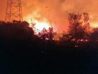 Incêndio atingiu área extensa próxima a pousadas no Passo do Lontra. (Foto: Corpo de Bombeiros/Divulgação)