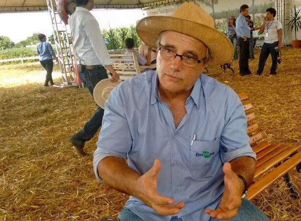 Integra&ccedil;&atilde;o entre culturas &eacute; aliada contra seca e pode dobrar produ&ccedil;&atilde;o