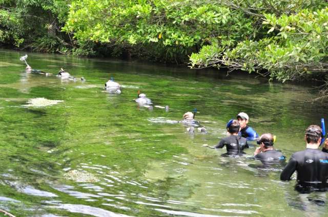 Turismo de Jardim e Bonito j&aacute; registra lota&ccedil;&atilde;o para fim  de ano