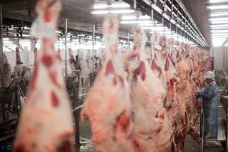 Exportações de carne caíram 40,4%, passando de R$ 583,7 milhões para R$ R$ 347,7 milhões (Foto: Divulgação/Rica Comunicação)