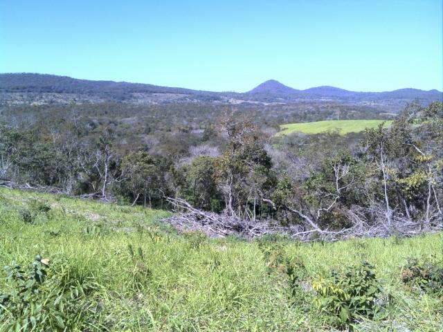 Produtor rural &eacute; multado em R$ 10 mil por desmatar &aacute;rea protegida em Bonito