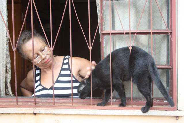 Prefeitura amea&ccedil;a multar casal por cuidar de 40 gatos em condom&iacute;nio 
