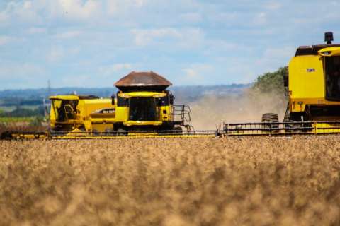 IBGE prevê alta de 2,6% em lavoura de soja, apesar de prejuízos com chuvas