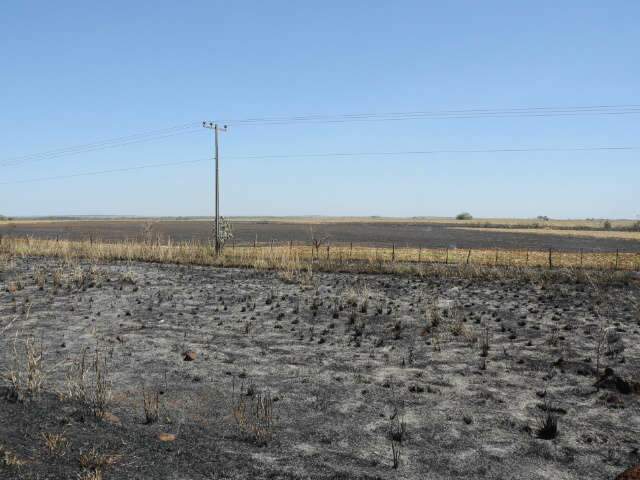  Inc&ecirc;ndio atinge 10 hectares de lavoura &agrave;s margens da MS-060