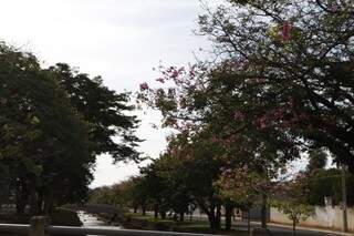 Campo Grande amanheceu com tempo nublado e previsão é de chuva em áreas isoladas. (Foto: Cleber Gellio) 