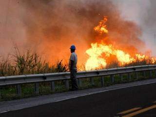 Focos de incêndio na BR-262, em Corumbá voltaram a aumentar no último fim de semana (Foto: Chico Ribeiro)