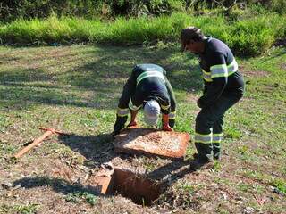 Técnicos da Águas Guariroba constataram despejo de esgoto no leito do córrego, o que infringe leis ambientais (Foto: João Garrigó)