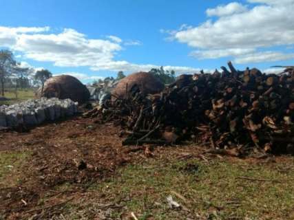 PMA fecha carvoaria ilegal no maior assentamento de Mato Grosso do Sul