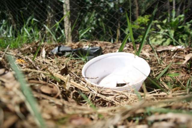 Minist&eacute;rio v&ecirc; risco de epidemia de dengue na Capital e mais 17 cidades