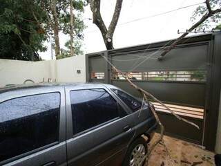 Árvore caiu em cima de portão e veículo, no Jardim Aeroporto  (Foto: André Bittar)