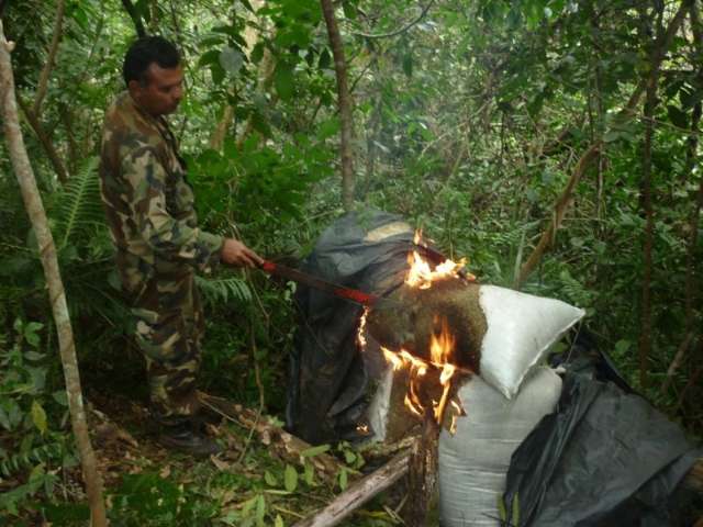 Regi&atilde;o que recebe ministro produz 80% da maconha consumida no Brasil