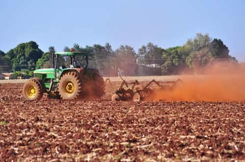 Produtores terão que replantar 60 mil hectares de soja por causa da seca