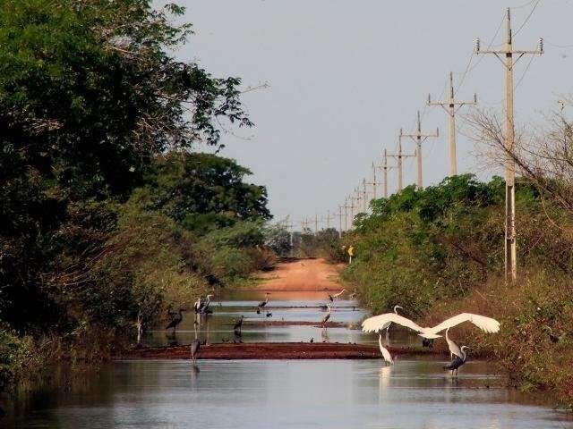 &Aacute;guas do Rio Paraguai sobem e trecho de MS-228 &eacute; interditado novamente