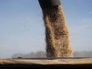 Brasil deve atingir recorde e  produzir de 99,7 milh&otilde;es de toneladas de soja