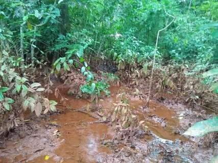 Água barrenta que atingiu Rio da Prata saiu de fazenda que cultiva soja