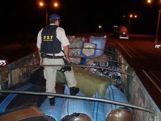 Roupas estavam em um caminhão Scânia/T 113 (Foto: PRF/divulgação)