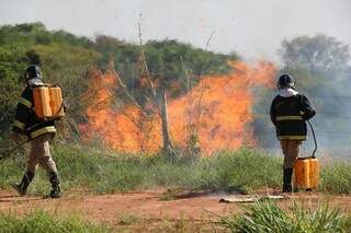 As chamas atingiram uma área de 3 mil metros quadrados na reserva estadual Nascente do Segredo (Foto: Marcos Ermínio) 