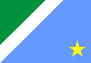 Na Bandeira de Mato Grosso do Sul, o céu fica embaixo. (Foto: Reprodução Internet)